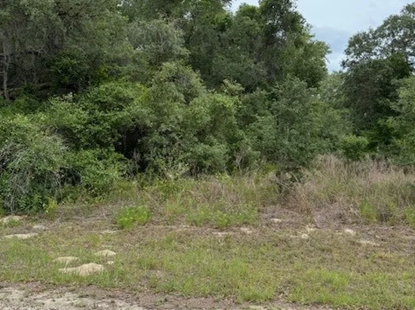 7911 N Walton Ter, Citrus Springs, FL 34434