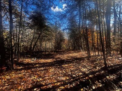 137 Maple Branch Rd Lot 43, Sparta, TN, 38583