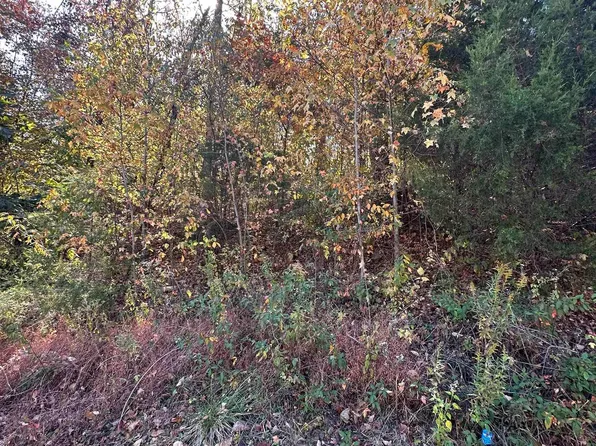 4604 Legacy Preserve Way SE, Brownsboro, AL 35741
