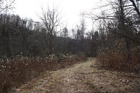 2nd image of 667 Star Gap Rd