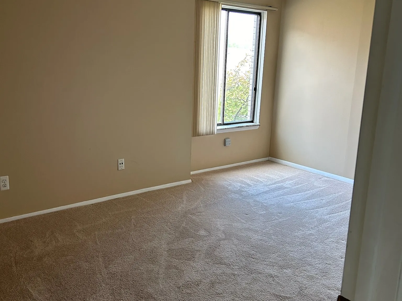 1 bed, 731 sqft, $1,200 — Photo 3