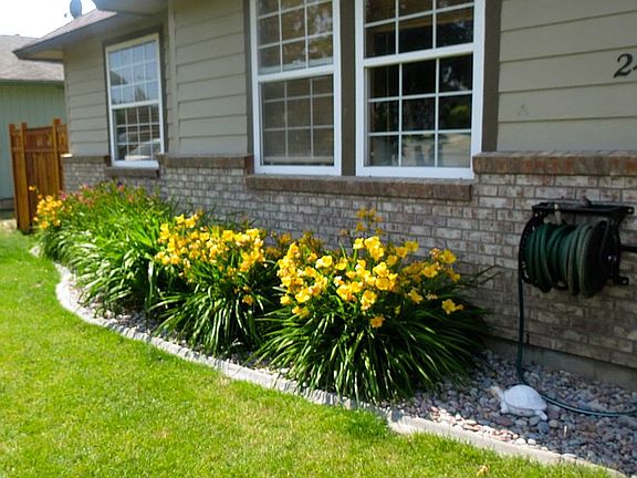 Front flower beds