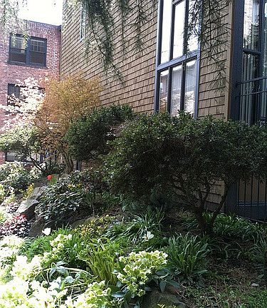 Garden in front of building