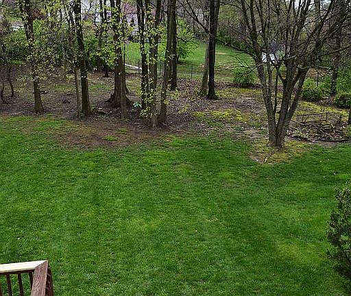 Back View (2) 4.11.16