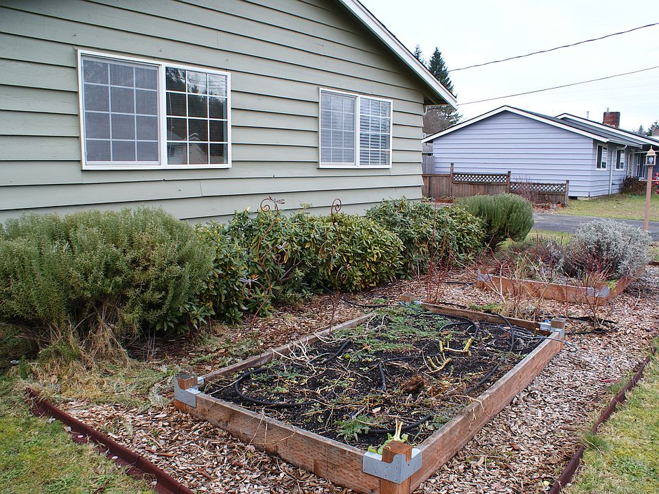 Herb Gardens and Berries