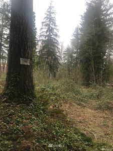 80 NE Firwood Place, Tahuya, WA, 98588