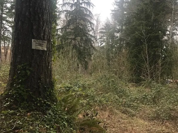 80 NE Firwood Place, Tahuya, WA 98588