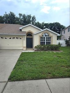 8640 Hawbuck St, New Port Richey, FL, 34655