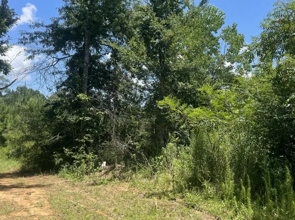 Hollis Ln, Prentiss, MS 39474