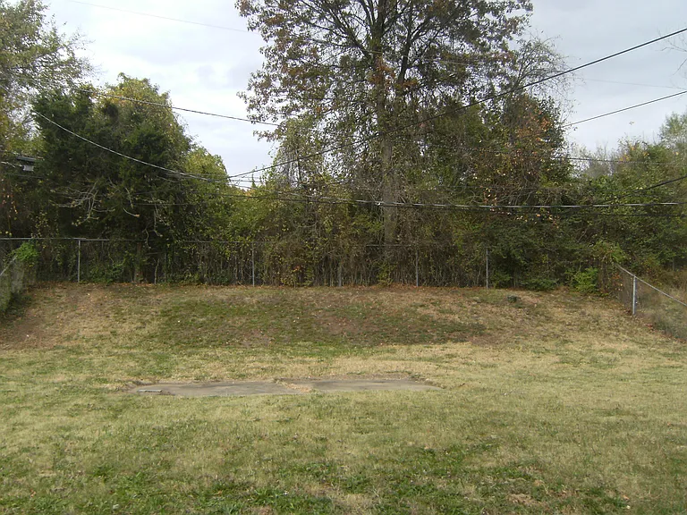 nice size and clean back yard