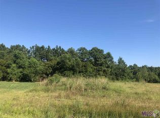 26410 Ponchatoula Dr LOT 100, Springfield, LA 70462