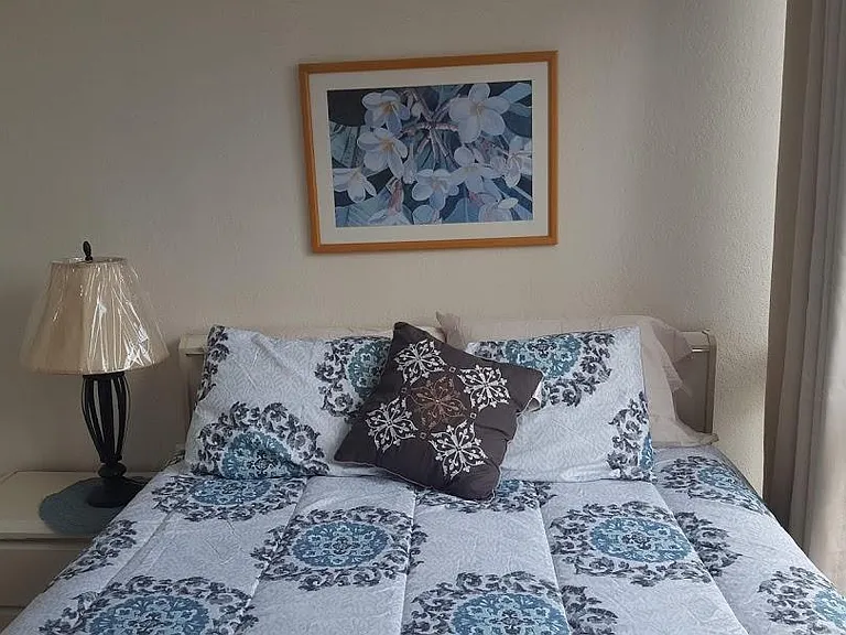 320 Liliuokalani Ave — Photo 10