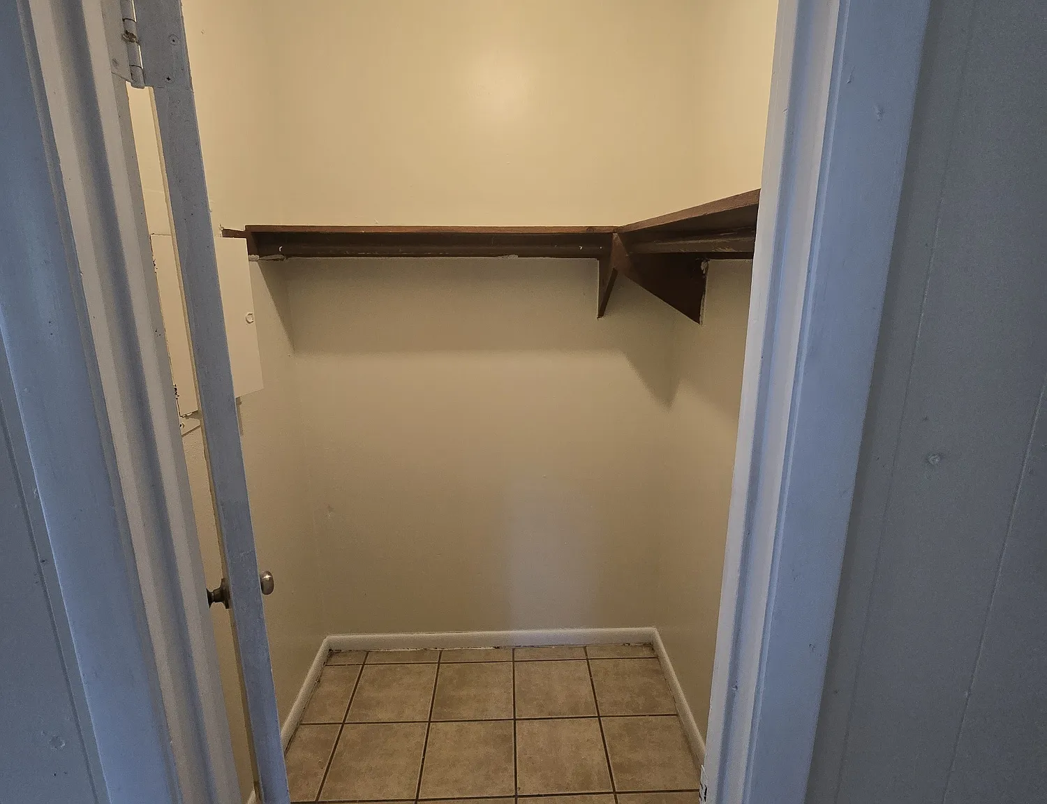 1 bed, 800 sqft, $995 — Photo 4