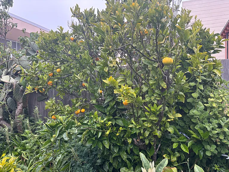 328 Santa Barbara Ave — Photo 13