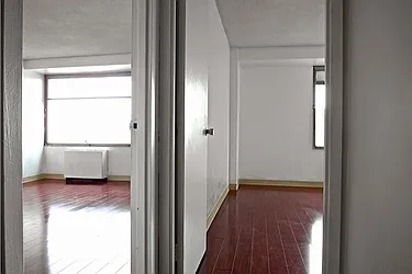 Sold by Cicada International LLC