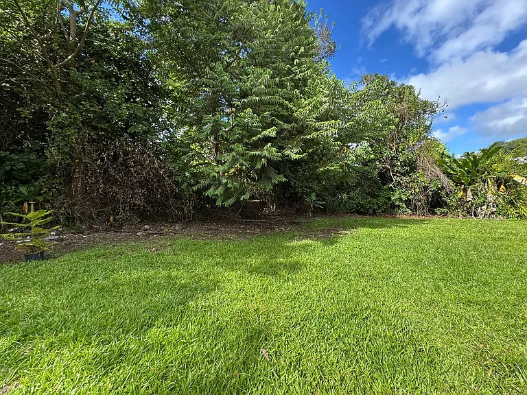 17-1156 Volcano Rd #1 — Photo 10