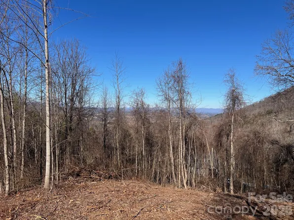 99999 Farm Cove Ln #10, Leicester, NC 28748