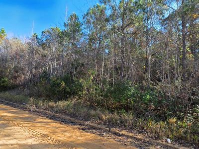 0 Primrose Rd, Fitzgerald, GA, 31750