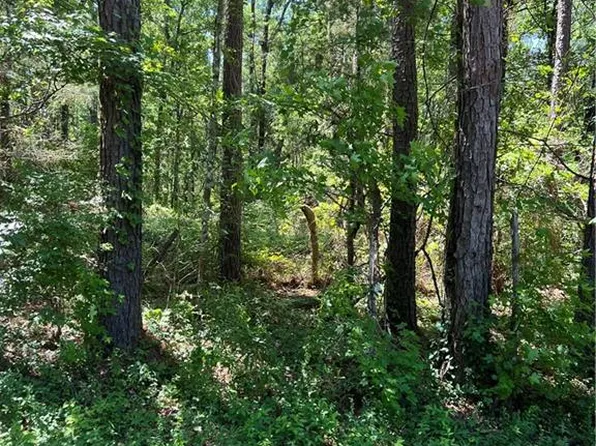 0 Frazier Cemetery Rd, Dry Prong, LA 71423