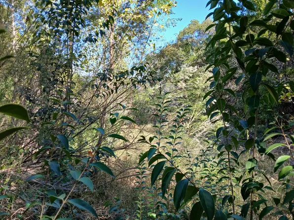 2705 Hilltop Rd, Granbury, TX 76048