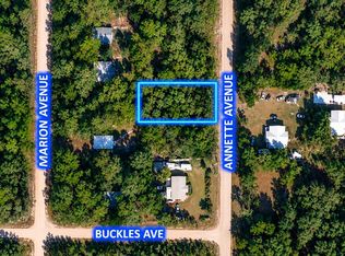 915 Annette Ave, Interlachen, FL 32148