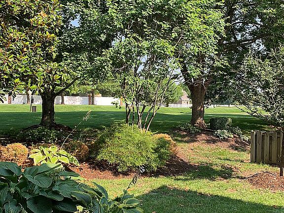 View north from patio