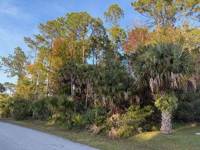 11 Pinelark Ln #6, Palm Coast, FL, 32164