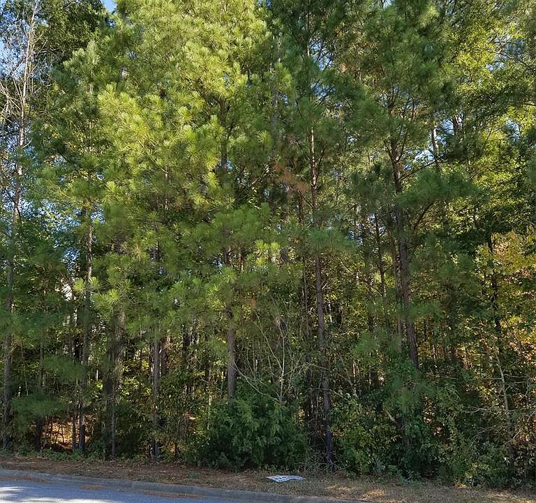 1st image of 202 Saint Augustine Dr