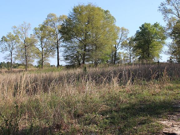 2nd image of Lot 44 Blue Roan Court