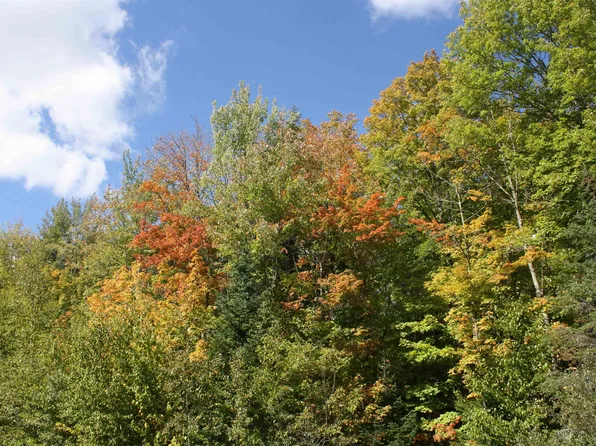 LOT 19 Many Rock, Mercer, WI 54547