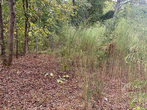 3rd image of 0 Burns Rd