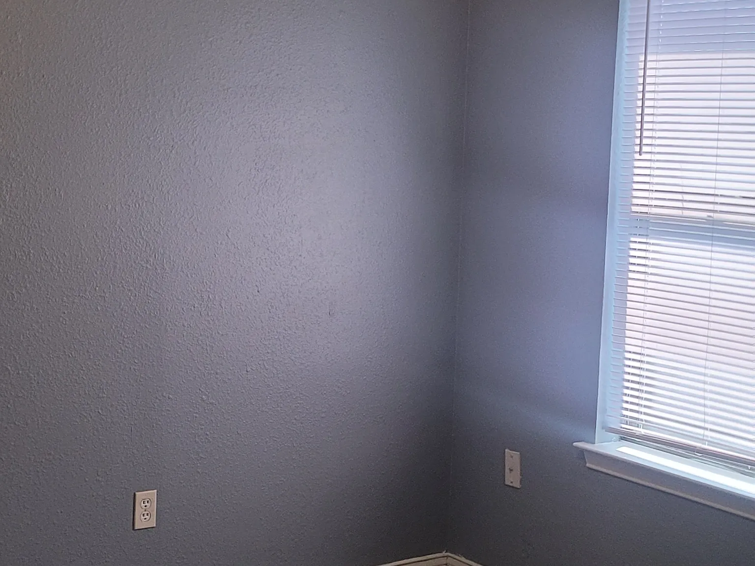 3 bed, 1.5 bath, 1318 sqft, $1,800 — Photo 4