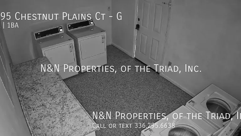 1395 Chestnut Plains Ct #G — Photo 16