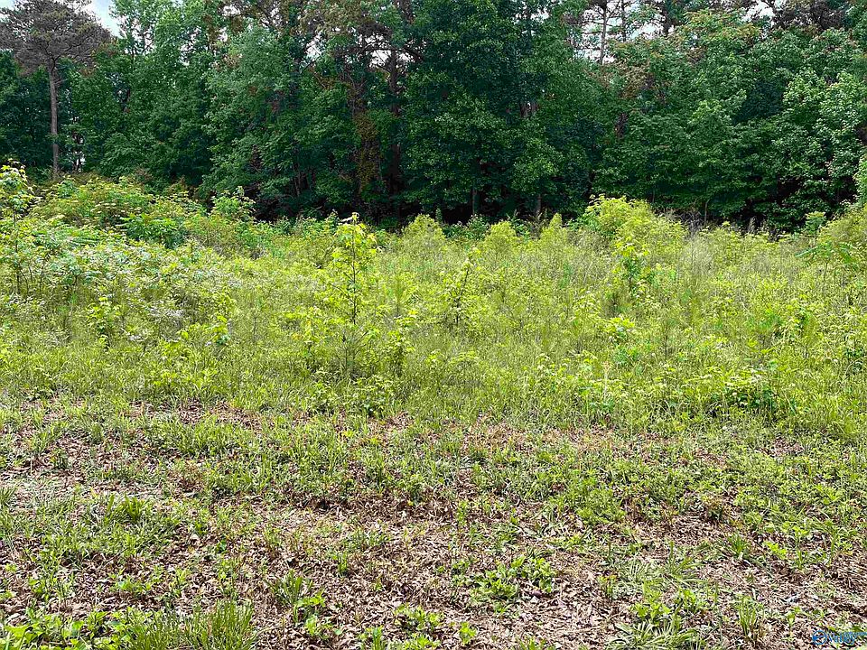 2nd image of LOT 13 AND 14 Country Cove Rd