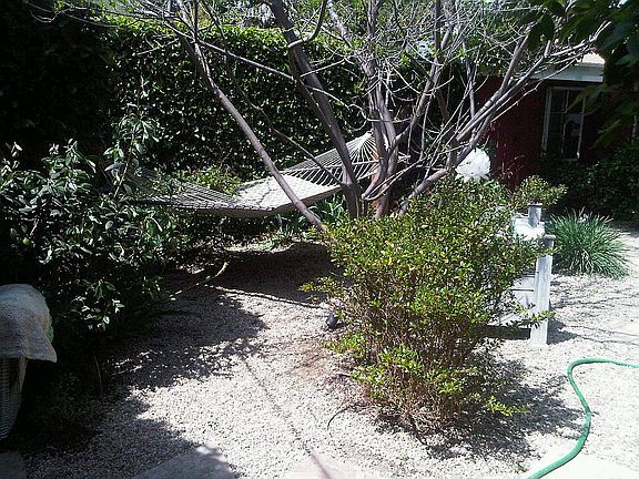 hammock under shade tree