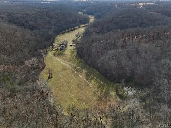 1703 Cyrus Dr, Macks Creek, MO 65786