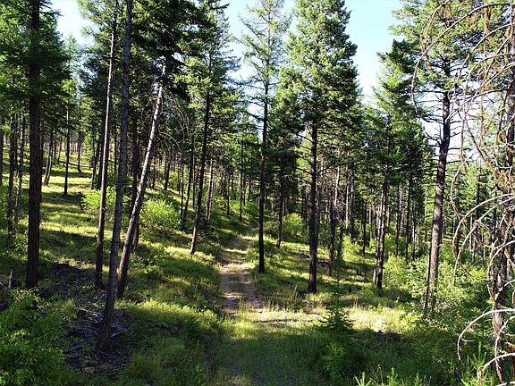 4th image of Nhn Spruce Hollow Trl