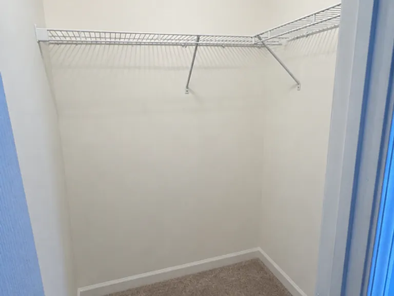 2520 Clear Pines Ct — Photo 13