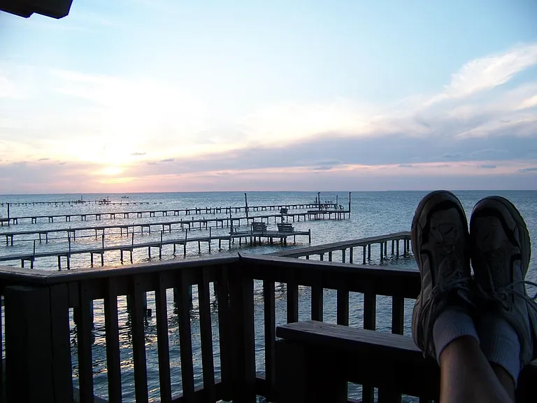 View from back porch