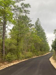 Sherman Kennedy Rd, Baker, FL, 32531