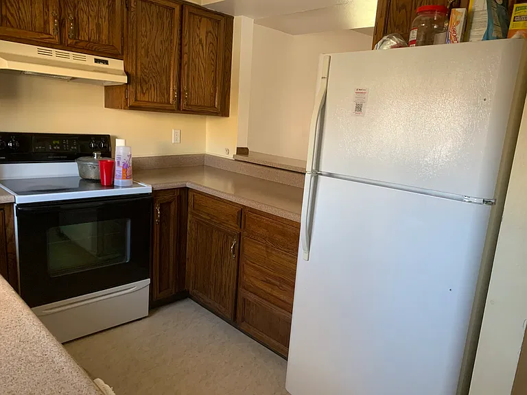 717 E Geneseo St — Photo 11