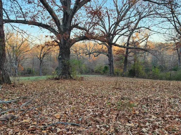 Old Salem Rd, Mammoth Spring, AR 72554
