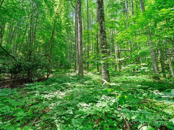 2 Lotties Creek Rd #26-27, Burnsville, NC 28714