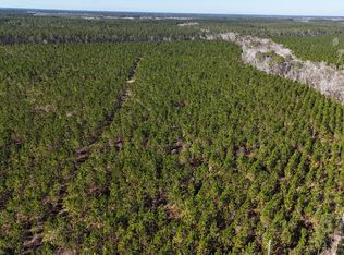 Owens Rd, Odum, GA 31555