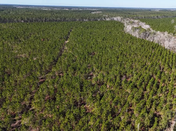 Owens Rd, Odum, GA 31555