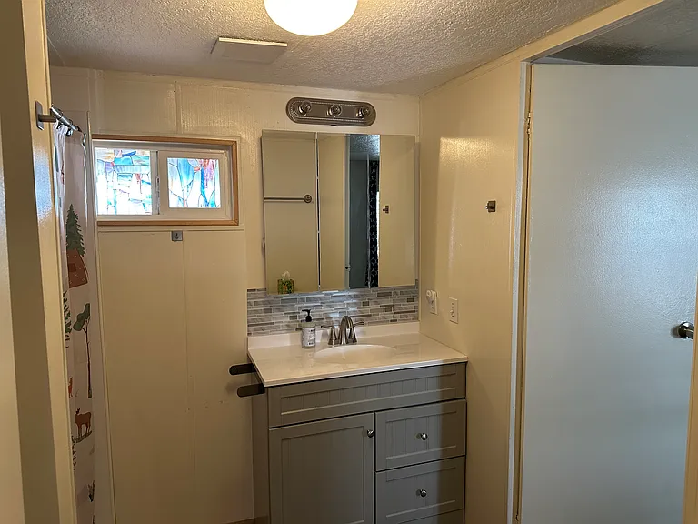 11101 E University Dr #173 — Photo 3