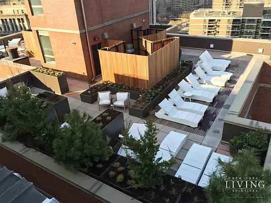 Rented by NY Living Solutions | media 11