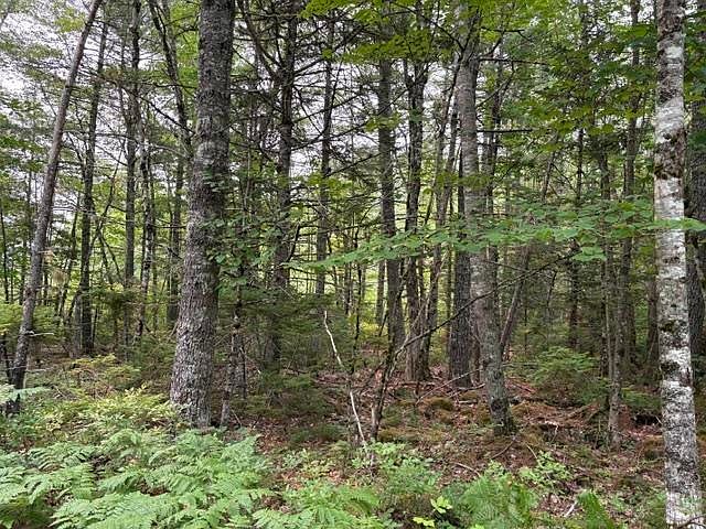 1st image of Country Rd Lot 1-A