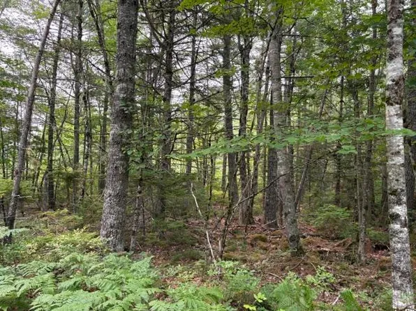 Country Rd Lot 1-A, Queens, NS B0T 1E0