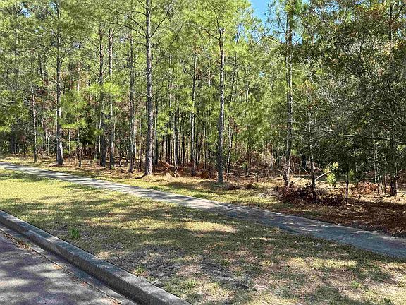 2nd image of 113 Pineberry Dr.